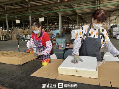 潍坊寿光羊口镇 一张逆势增长“成绩单”的背后——经营电子商务的智慧与路径