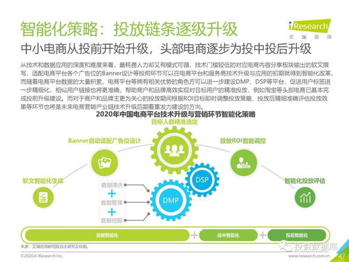 2020年中国电商营销市场研究报告 经营电子商务的机遇与挑战